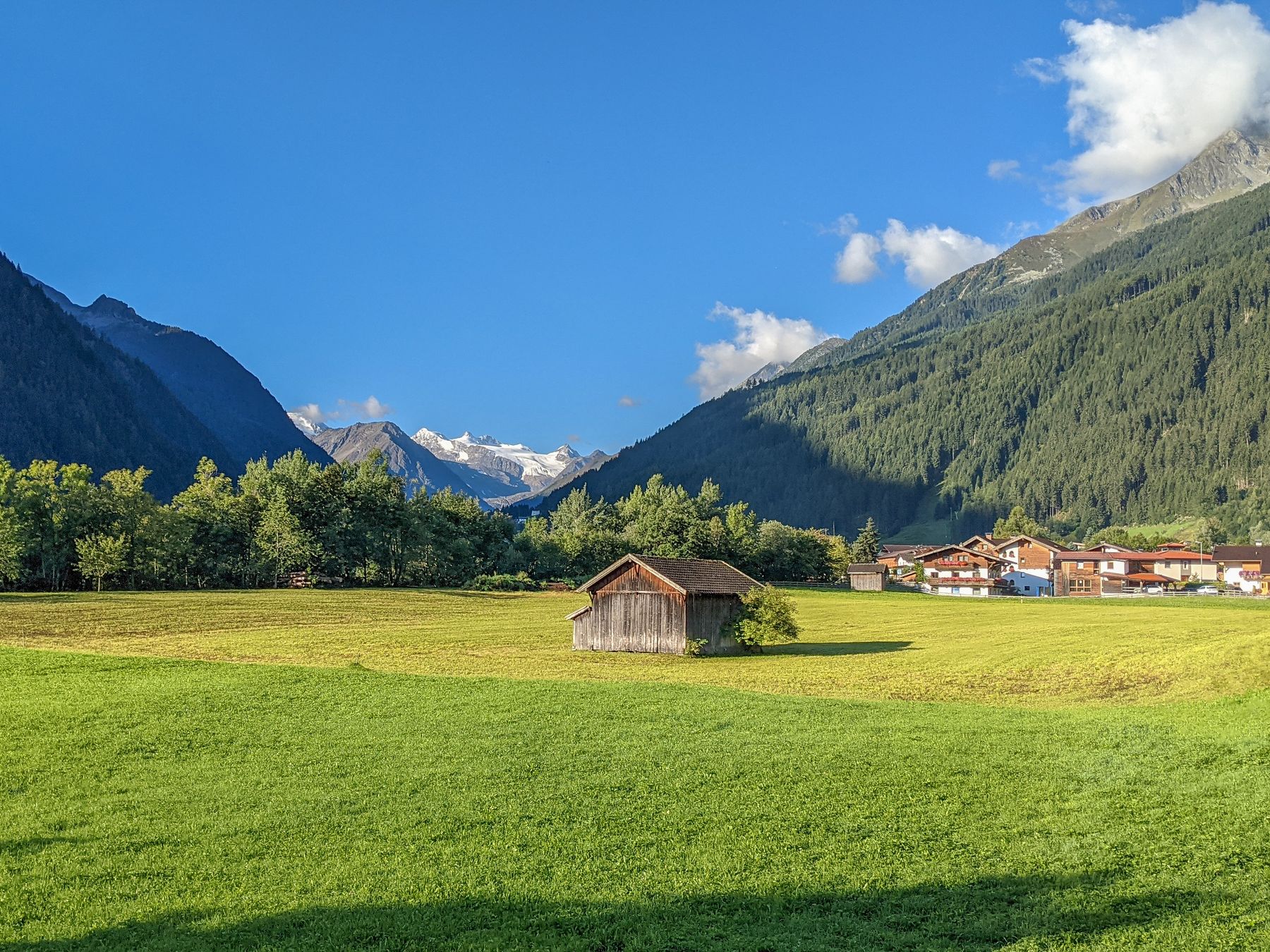 Grüne Wiese mit Stadel vor Bergkulisse